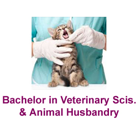 Bachelor in Veterinary Sciences My Careers View - India's Best College,  School and Consultant