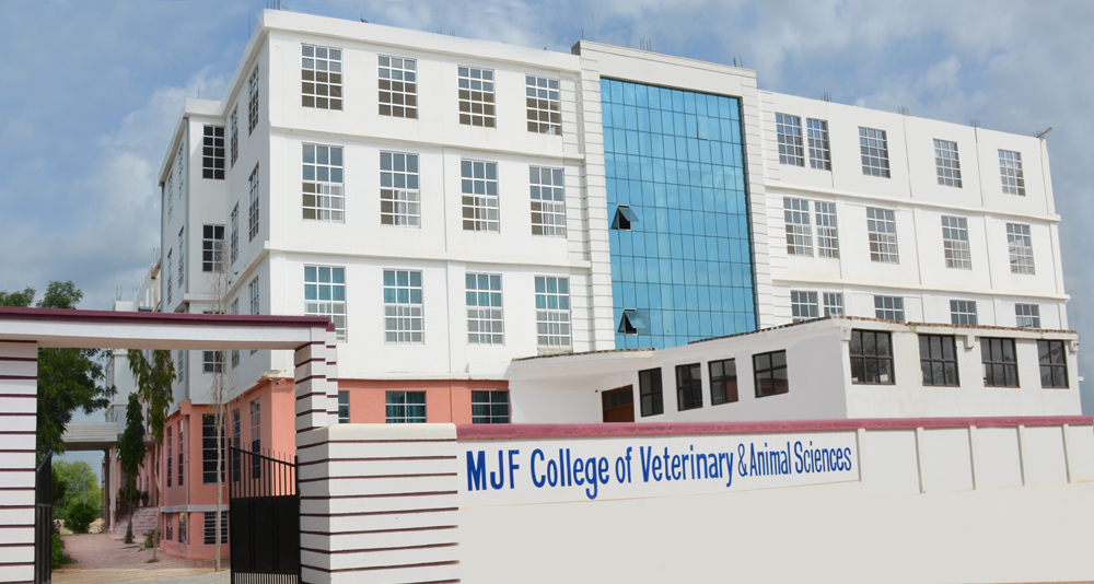 My Careers View - India's Best College, School, Coaching and Consultant
